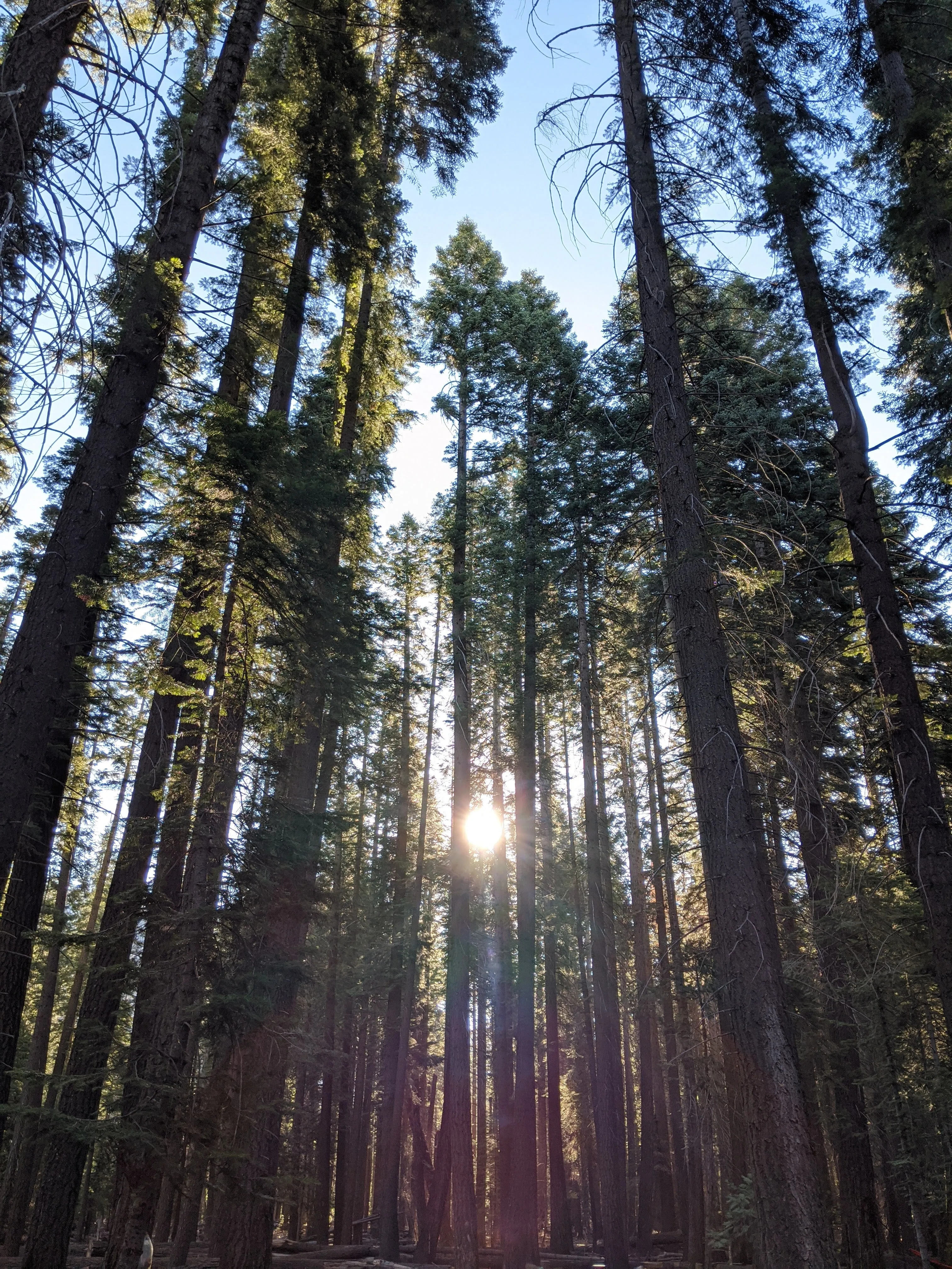 Backpacking Yosemite: Half Dome (3 Day)
