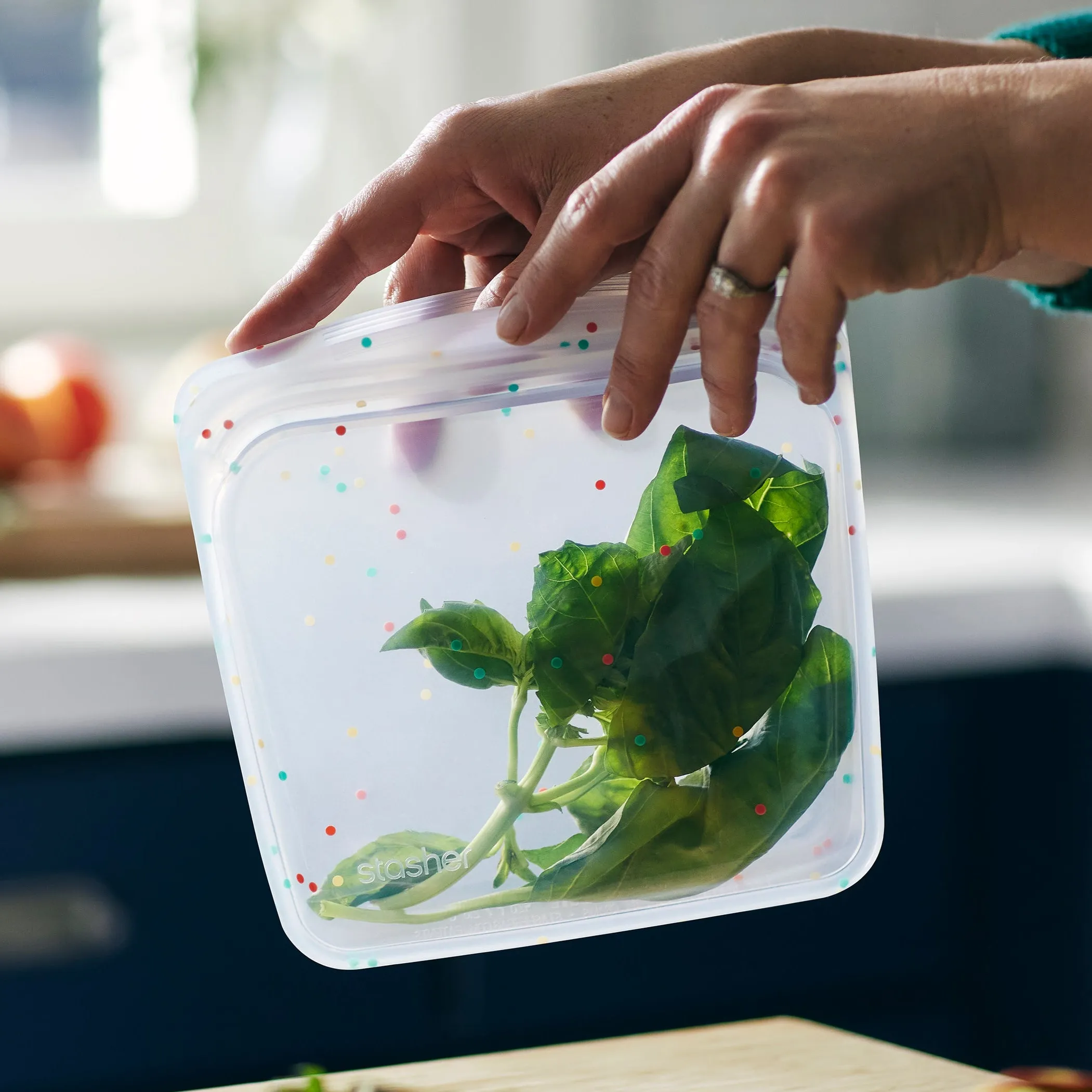 Sandwich Bag