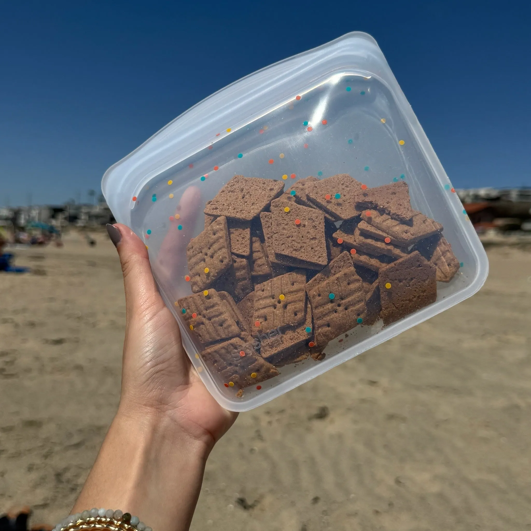 Sandwich Bag